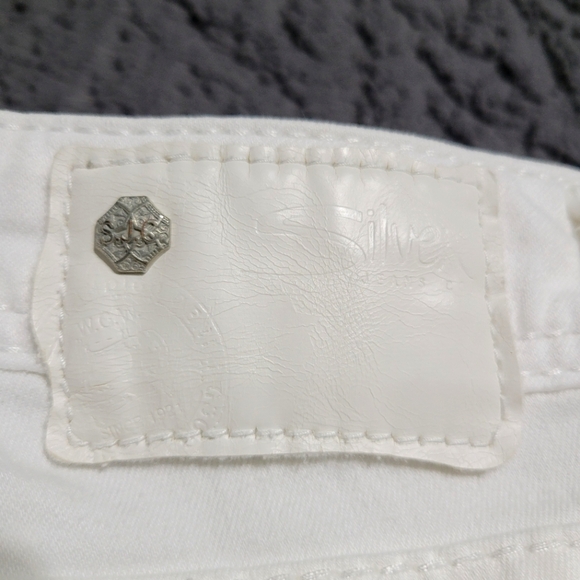 Silver Capris - Picture 2 of 7